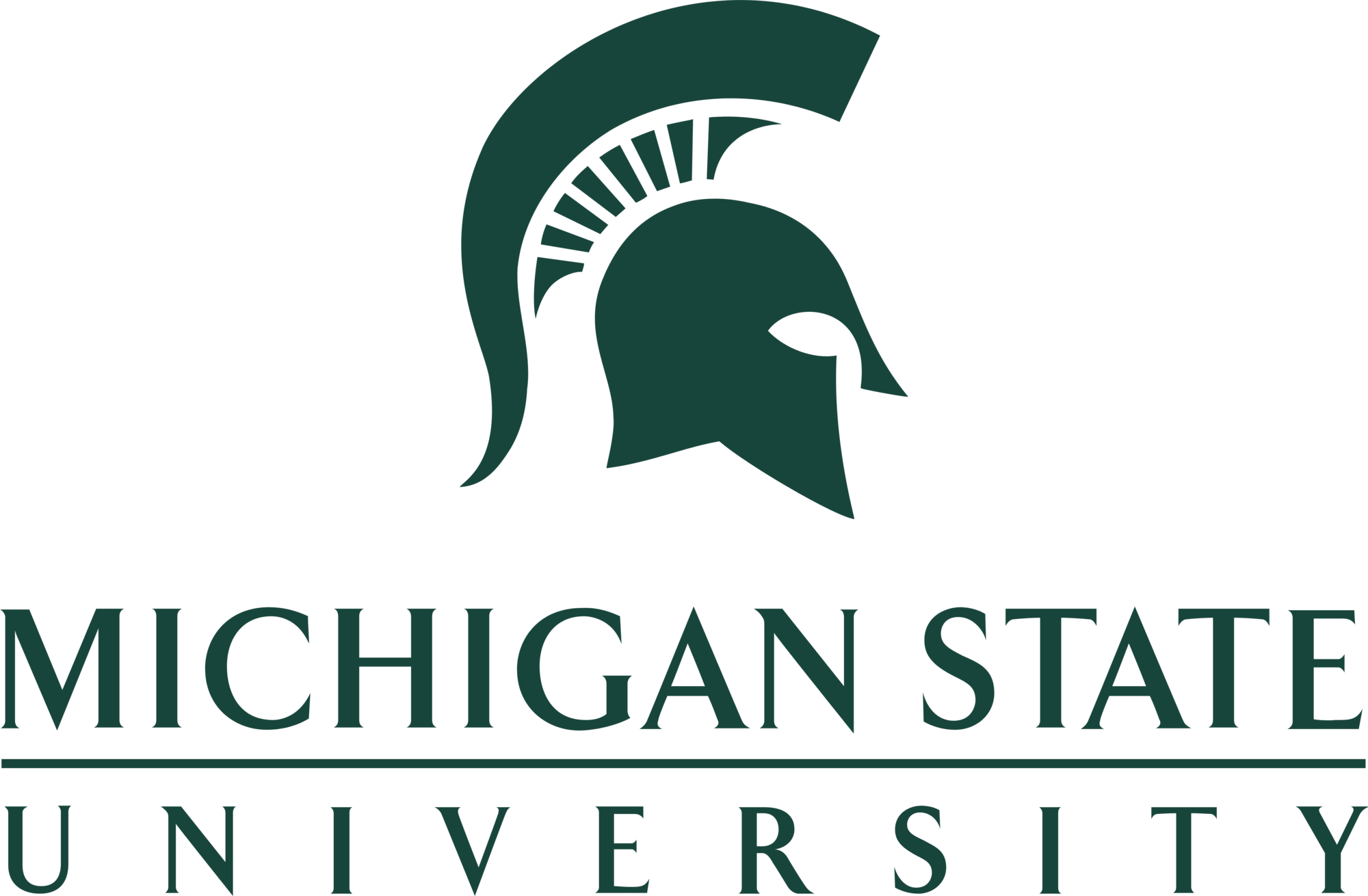 michigan-state-university-seeklogo